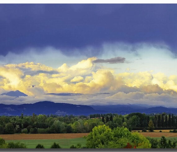 I COLLI BERICI